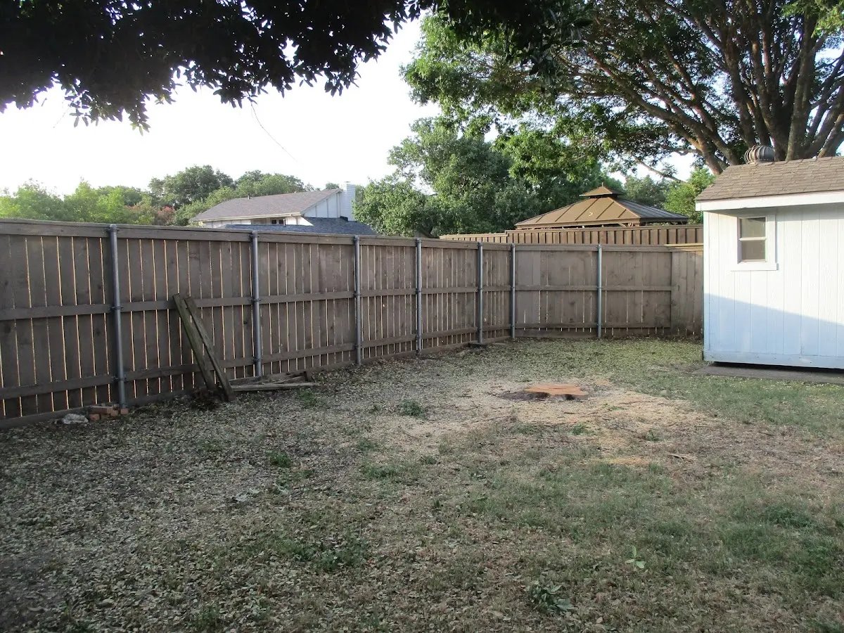 Cleared yard after professional tree removal in Sargent