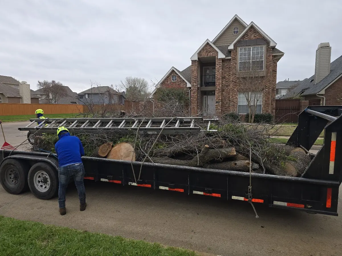 Expert Tree Fertilization with proper safety equipment in Sargent
